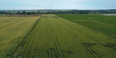 Türkiye'de tarımsal kuraklık riski internetten izlenebilecek