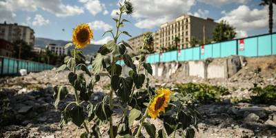 Kahramanmaraş'taki konteyner çarşı, kuruyemişçinin enkazındaki ürünlerle yeşerdi