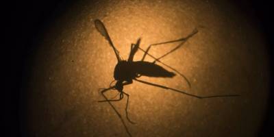 Bangladeş'te dang humması salgınında can kaybı 62’ye yükseldi