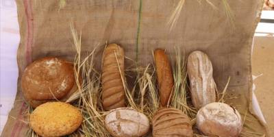 Göbeklitepe'de, buğday ile yapılan 100 çeşit yemeğin sunumu gerçekleştirilecek