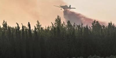 Bakan Koca: İzmir'deki yangında 1'i ağır 12 kişi etkilendi