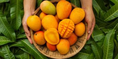 Türkiye’nin tropikal meyve ihracatı 7 milyon dolara koşuyor