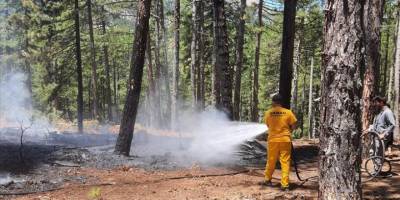 Adana'da çıkan iki orman yangını kontrol altına alındı