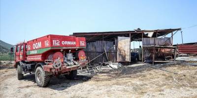 Çanakkale'deki orman yangınında bir besicinin 31 hayvanı telef oldu