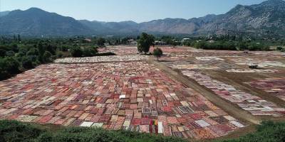 Antalya'daki kavurucu sıcak, tarlalara serilen halıların daha fazla pastelleşmesini sağlayacak