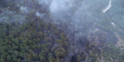 Çanakkale'deki orman yangınına müdahale ediliyor