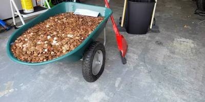 İstifa eden çalışanına kızan işveren, son maaşı binlerce madeni parayla ödedi