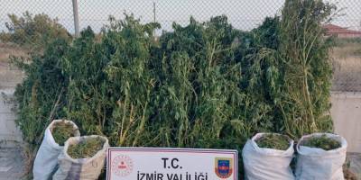 İzmir'de uyuşturucu operasyonunda 1 zanlı tutuklandı