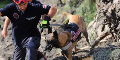 Gürcistan'ın tatil beldesi Şovi'deki heyelanda can kaybı 17'ye yükseldi