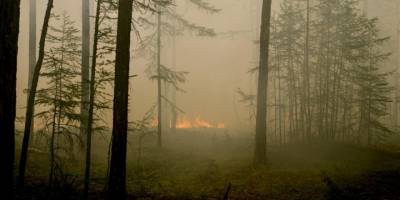 Rusya’da yangınlarla mücadele sürüyor