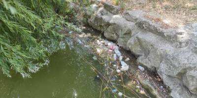 Bakırköy Botanik Parkında hayvanları öldüren ilgisizlik