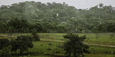 Güney Amerika'daki 8 ülkeden Amazon'daki ormansızlaştırmaya karşı mücadelede işbirliği
