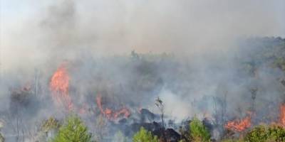 Burdur'da çıkan orman yangını kontrol altına alındı