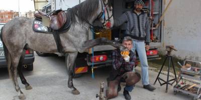 At sevgisi 35 yaşında nalbant yaptı