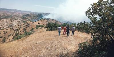 Bingöl'de ormanlık alanda çıkan yangına müdahale sürüyor
