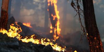 Antalya'nın Akseki ilçesindeki orman yangınına havadan ve karadan müdahale sürüyor