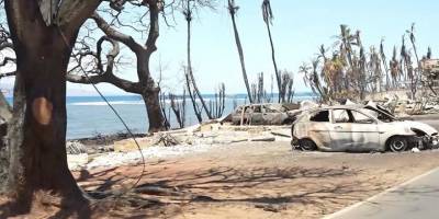 Hawaii'deki orman yangınlarında ölenlerin sayısı 106'ya yükseldi