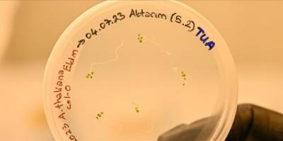 Türk bilim insanları uzayda bitki yetiştirecek