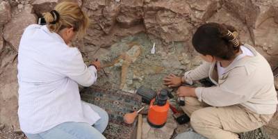 Çankırı'da yaklaşık 8,5 milyon yıllık fosiller gün yüzüne çıkarılıyor