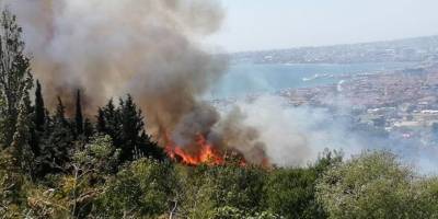 Büyükçekmece'de ormanlık alanda yangın çıktı