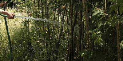 İstanbul'da bahçe ve peyzaj sulama abonelerinin su kullanımları geçici durduruldu