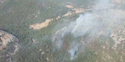 İzmir'de çıkan orman yangınına müdahale ediliyor