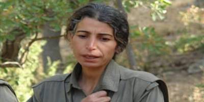 MİT, PKK/YPG'nin para trafiğini yöneten Zülfiye Binbir'i etkisiz hale getirdi