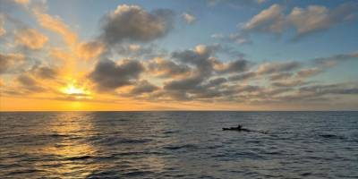 İki Türk sporcu, California'daki Catalina Kanalı'nı 13 saatte yüzerek geçti