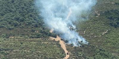 İzmir Foça'da orman yangını çıktı