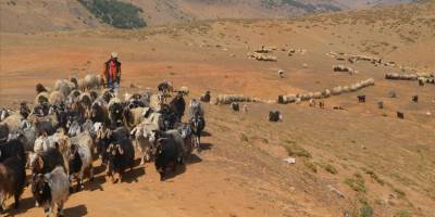 Muş'taki yaylalarda konaklayan göçerler dönüş için hazırlıklara başladı