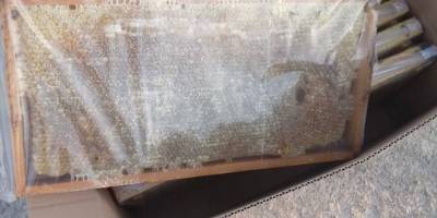 Muğla'da etiketsiz ve raporsuz 500 kilogram bal ele geçirildi