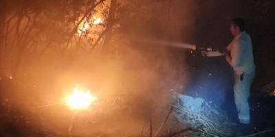 İzmir'de çıkan orman yangınına müdahale ediliyor