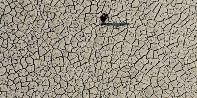 Düzce'de selin ardından oluşan "mil kuraklığı" tarım alanı ve meraları etkiledi