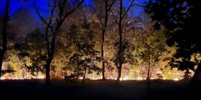 Edirne'de sınır hattındaki ormanlık alanda çıkan yangın söndürüldü