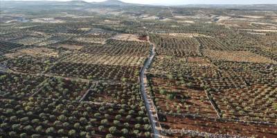 Çölleşme Arap ülkelerindeki tarım alanlarını "yok olma" tehlikesiyle karşı karşıya bırakıyor