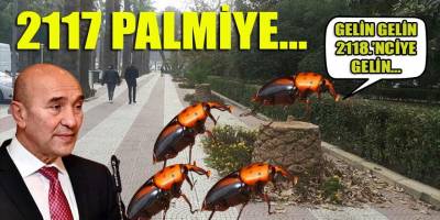 Tunç Soyer'in palmiye fiyaskosu! 2 bin ağaç heba oldu akılları anca başlarına geldi