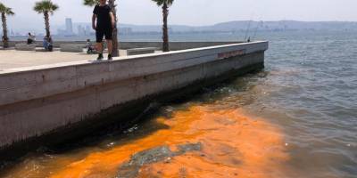 Kimyasal iddiası İzmir’i karıştırdı