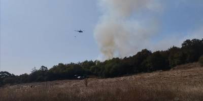 Kocaeli'de ormanlık alanda çıkan yangın kontrol altına alındı
