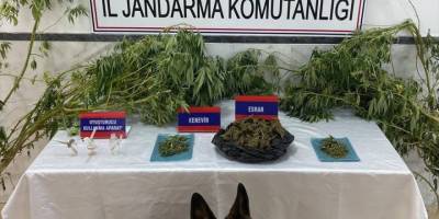 Aydın'da uyuşturucu operasyonunda 1 kişi yakalandı