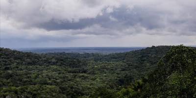Brezilya Amazonlarındaki kuraklık tehlikesi 500 bin kişiyi olumsuz etkileyebilir