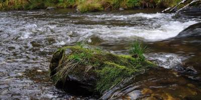 FAO: Suyla ilgili felaketlerin 2021'de 200 milyar dolardan fazla ekonomik maliyeti oldu