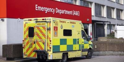 İngiltere'de köpeğin saldırısına uğrayan 54 yaşındaki adam hayatını kaybetti