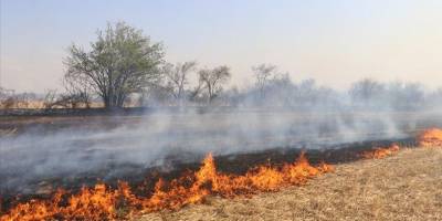 Anız yakılması toprak ekosistemini bozuyor