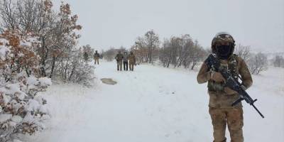 Şırnak ve Siirt'te 'Eren-12 Güleşli Operasyonu' başlatıldı