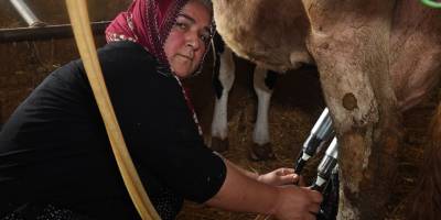 Tarsus Belediyesi, Halk Market ile küçük üreticiye destek veriyor