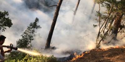 Muğla'da çıkan orman yangını söndürüldü