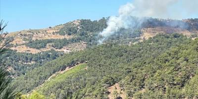 İzmir'de çıkan orman yangınına müdahale ediliyor
