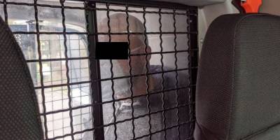 Polonya'da akıl almaz olay: Sahibinin yıkadığı anda aracı çalmaya çalıştı