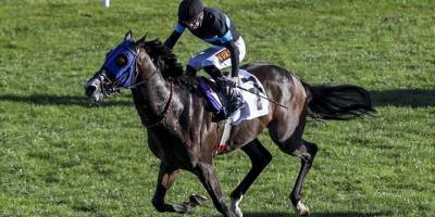 At yarışlarında Cumhuriyet Koşusu ve Cumhurbaşkanlığı Koşusu, Ankara'da yapılacak