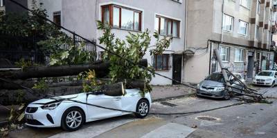Bursa'da lodos nedeniyle ağaç ve elektrik direği araçların üzerine devrildi
